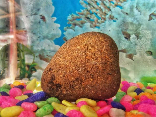 魚缸彩色石頭有毒嗎：魚缸中的彩色石頭是否對魚有毒 魚缸彩色石頭有毒嗎：魚缸中的彩色石頭是否對魚有毒 魚缸百科 第3張