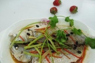 金龍魚的吃法和做法（金龍魚與其他魚類比較,金龍魚保存方法介紹）