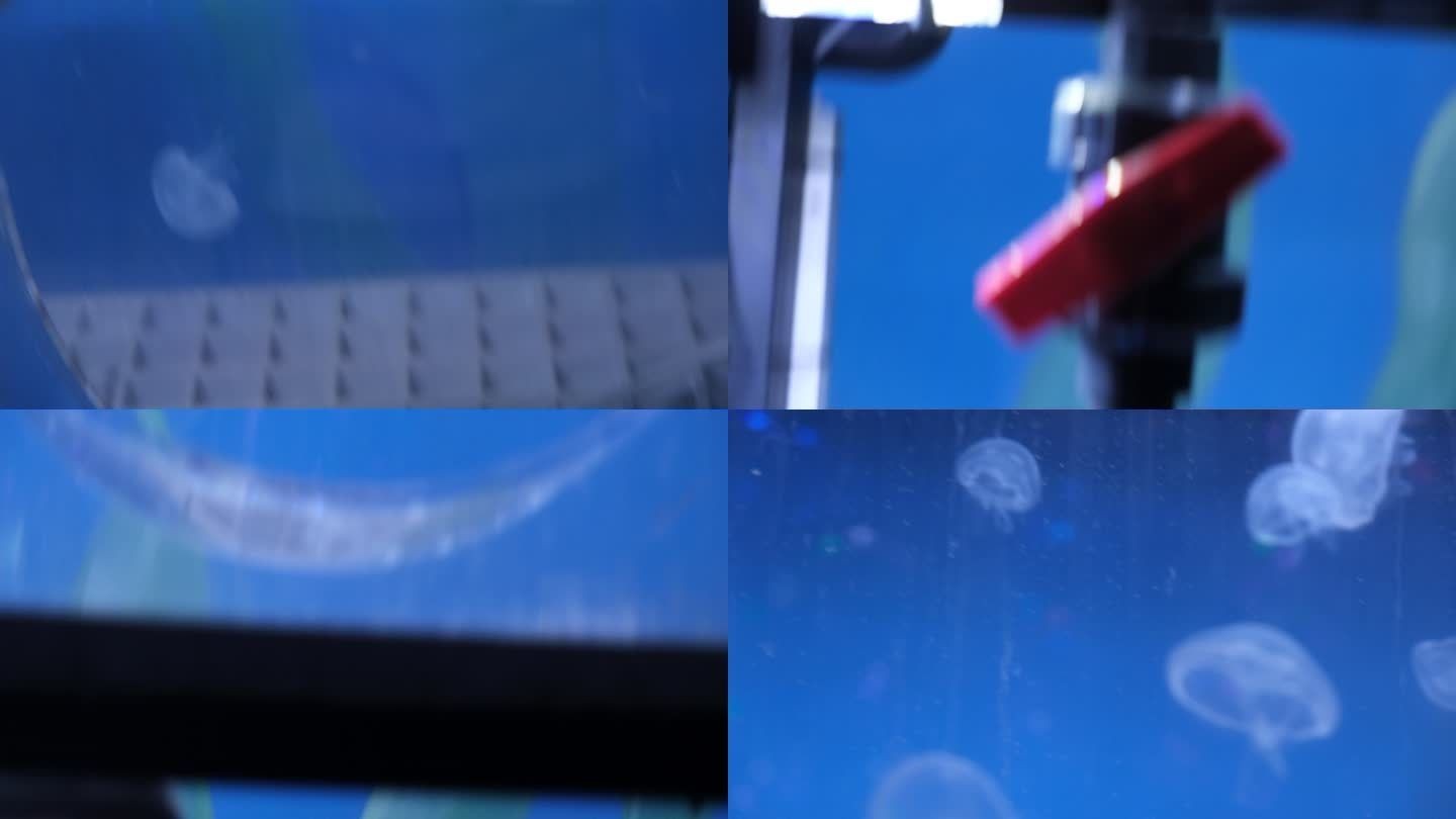 廣漢魚缸養護秘籍選擇合適的魚缸后養護工作同樣重要：廣漢市內賣魚缸的地點 廣漢魚缸養護秘籍選擇合適的魚缸后養護工作同樣重要：廣漢市內賣魚缸的地點 魚缸百科 第4張