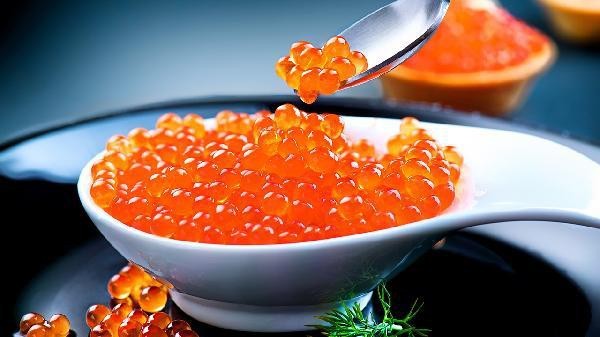 鱘龍魚為何要少吃