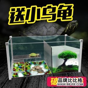 江陰市要塞藍鯨水族館（江陰市要塞藍鯨水族館地址）