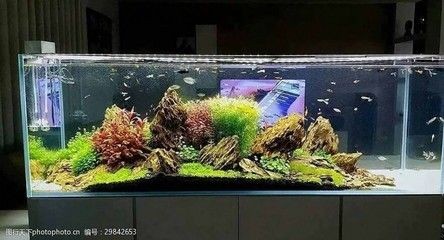 珊瑚礁生態系統的奧秘：海水礁巖生態魚缸是一種模擬海洋生態環境的模擬海洋生態環境
