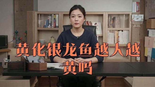 銀龍魚發黃