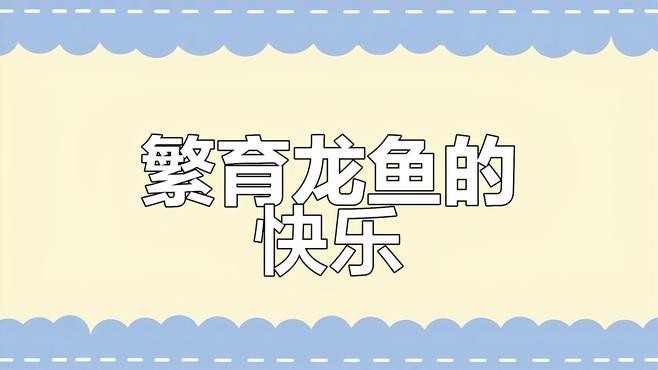 龍魚繁殖期需要哪些條件？