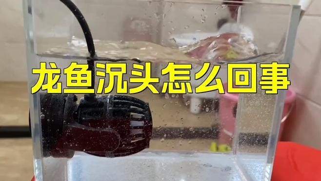 龍魚浮頭沉尾如何預防？