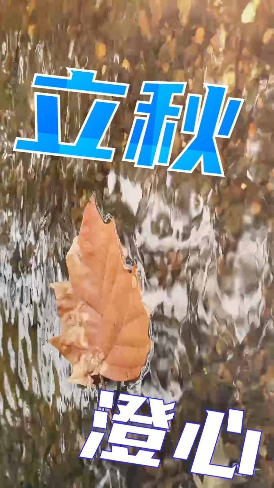 匠器隱于景，清流自成詩