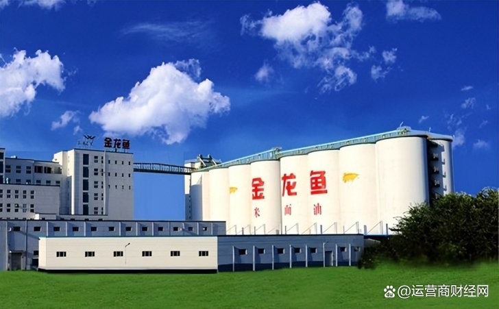 金龍魚高管團隊中有多少人內部晉升？