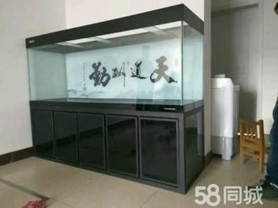 綏中縣綏中鎮(zhèn)魚友水族花卉商店（綏中花鳥魚市場）