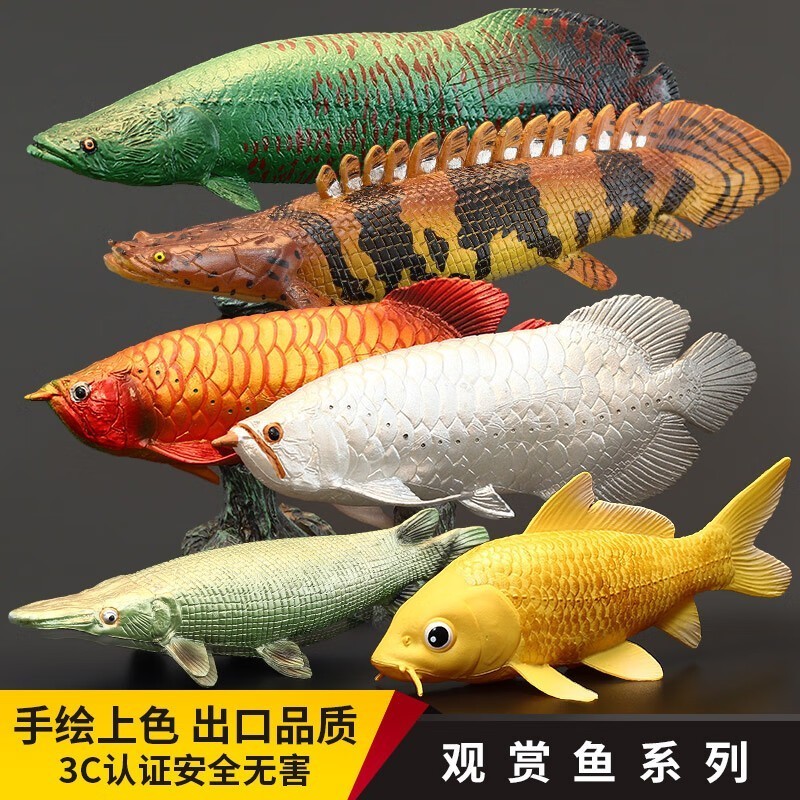 杭州蕭山新清水族器材店（杭州蕭山新清水族器材店地址）