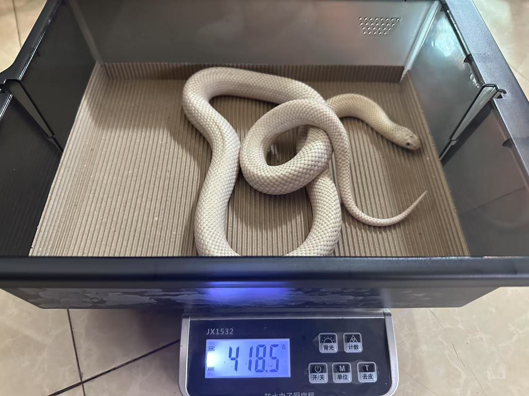 沒錢買母的…哎