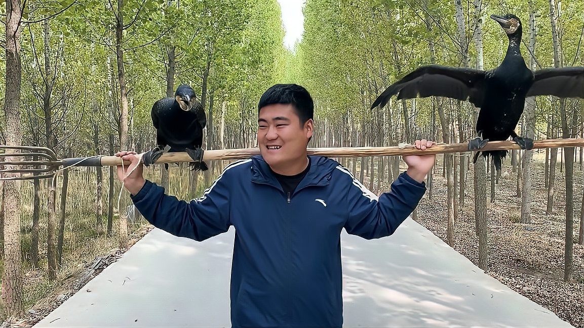 黑龍魚壽命