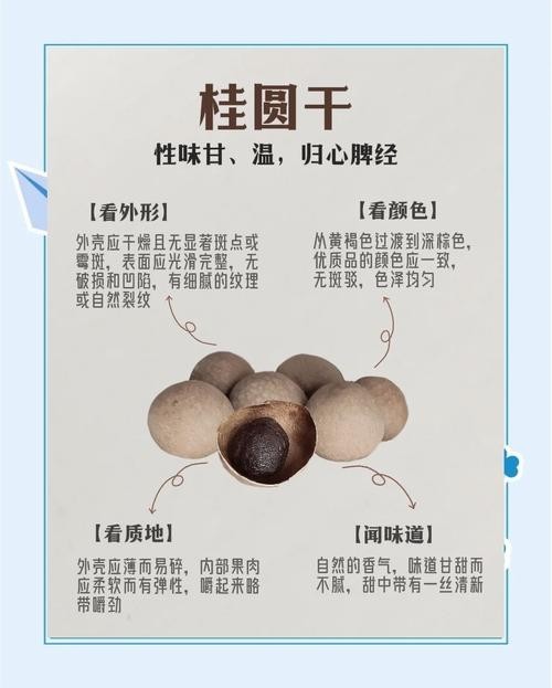 龍眼清洗后如何保存 龍眼清洗后如何保存 龍魚百科 第7張