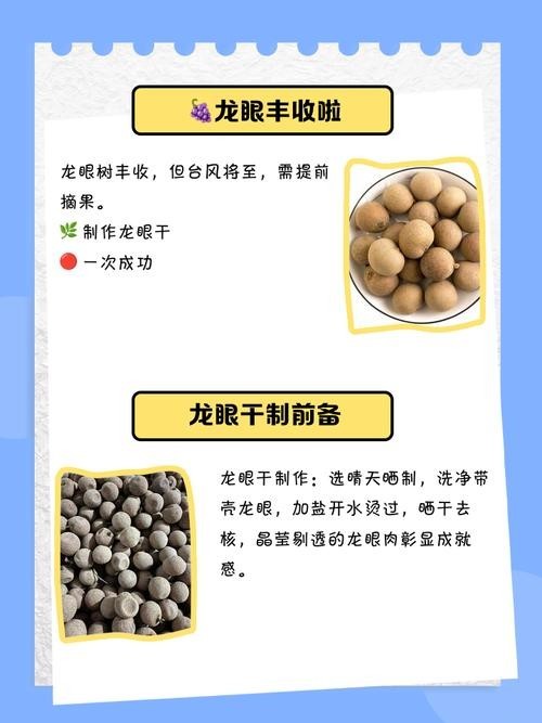 龍眼清洗后如何保存 龍眼清洗后如何保存 龍魚百科 第3張