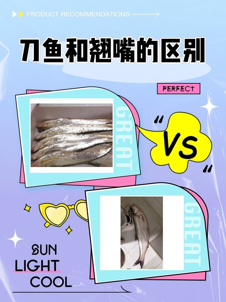 銀龍魚和翹嘴魚的區別是什么