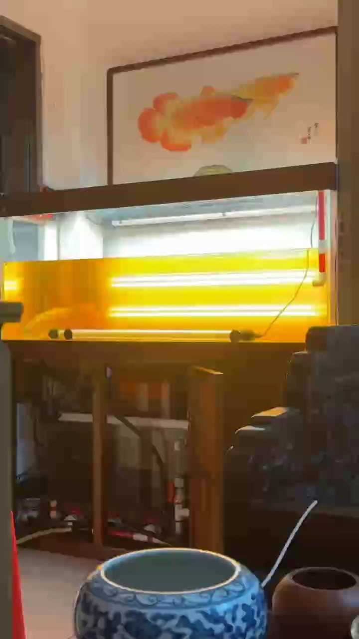 第二天側燈