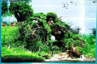 和政縣瑤池水族養殖園（和政縣瑤池水族養殖園地址）