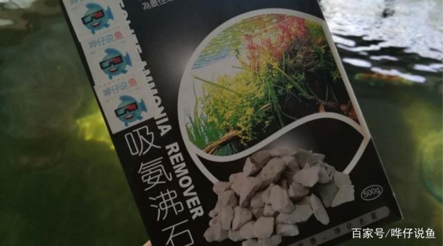克什克騰旗經棚鎮盈盈鮮花店（健康碼個人軌跡查詢）