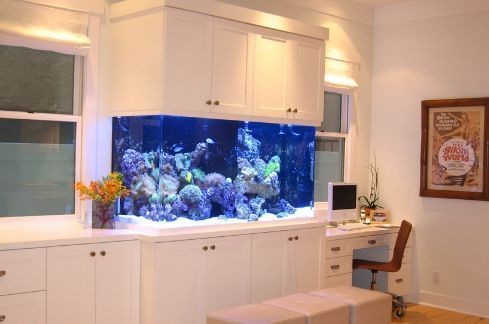 杭錦后旗生命源凈水機(jī)睿美水族館