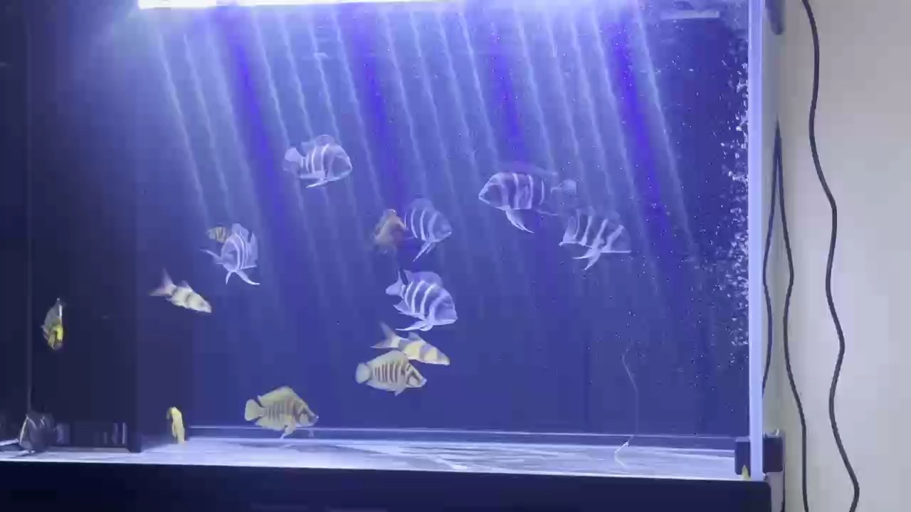三湖