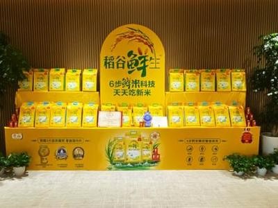 什么牌子魚缸過濾器好（魚缸過濾器品牌性價比對比）