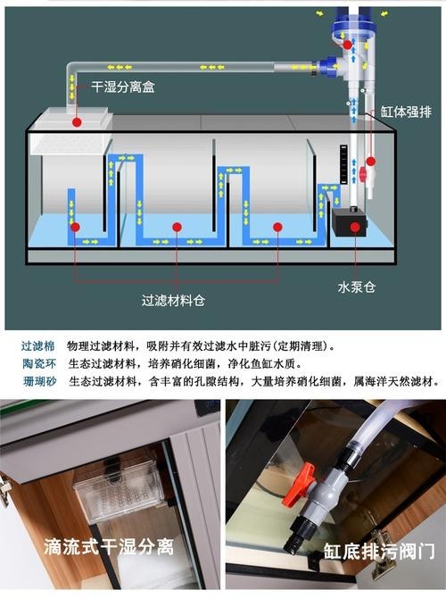 龍魚缸濾材怎樣擺放圖片大全