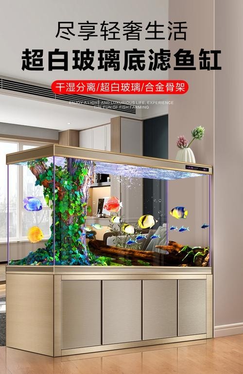 龍魚缸濾材怎樣擺放圖片大全