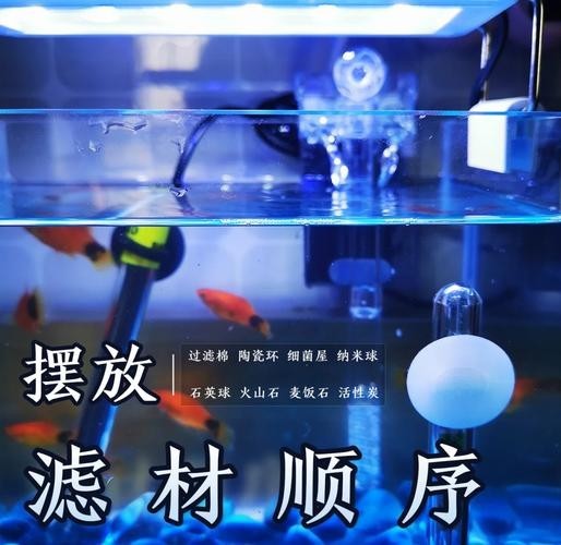 龍魚缸濾材怎樣擺放圖片大全