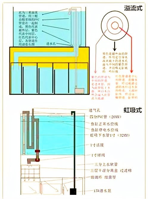 龍魚缸濾材怎樣擺放圖片大全