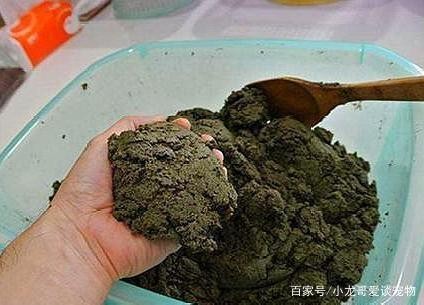 寧縣梅梅漁具花卉店