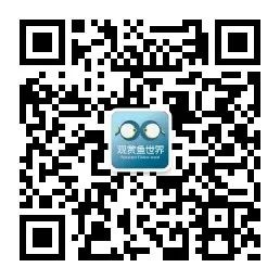 龍魚炸鱗的幾種類型，認(rèn)清病理，對(duì)癥下藥，能夠痊愈！，龍魚之巔編輯整理：龍魚炸鱗分為以下幾種類型，對(duì)癥下藥是痊愈的