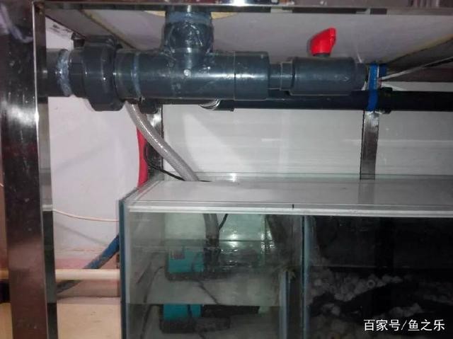棗強縣豐達水族館（棗強縣豐達水族館電話）