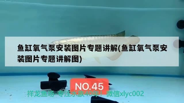綠皮紅龍魚的特點是什么？
