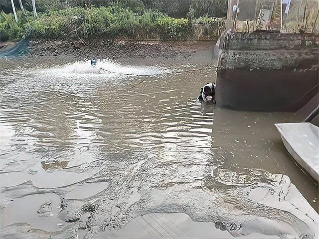 龍魚嘴爛怎么回事啊