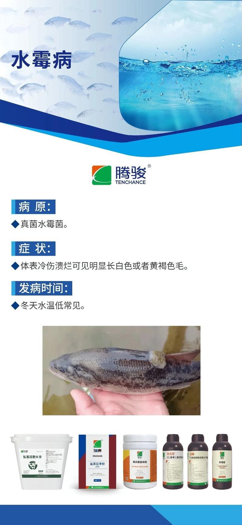 雷龍魚身上有白色絮狀物怎么辦圖片
