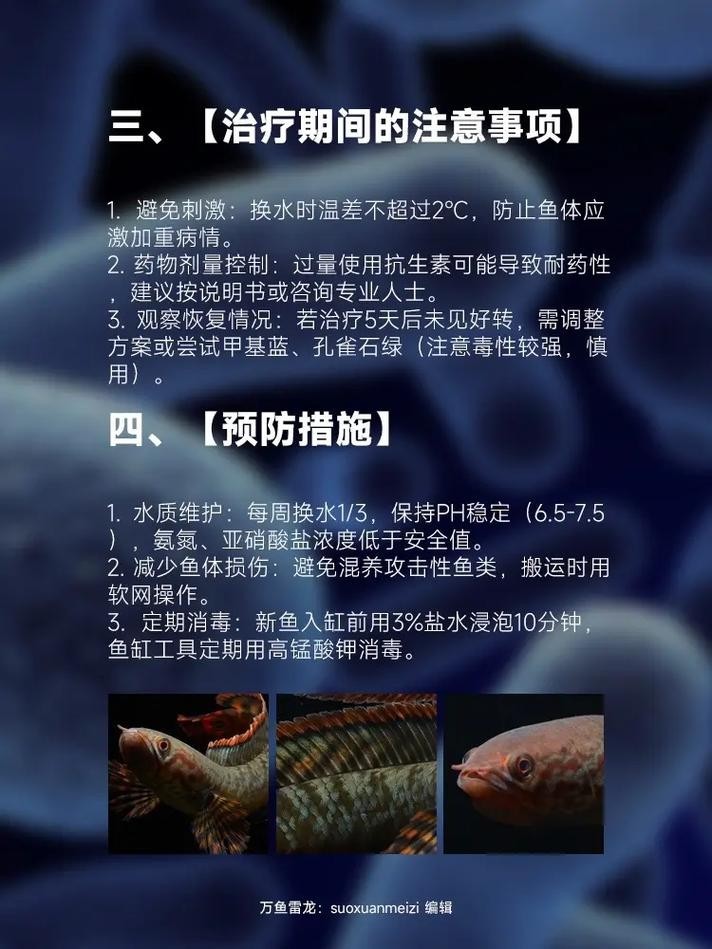 雷龍魚身上有白色絮狀物怎么辦圖片