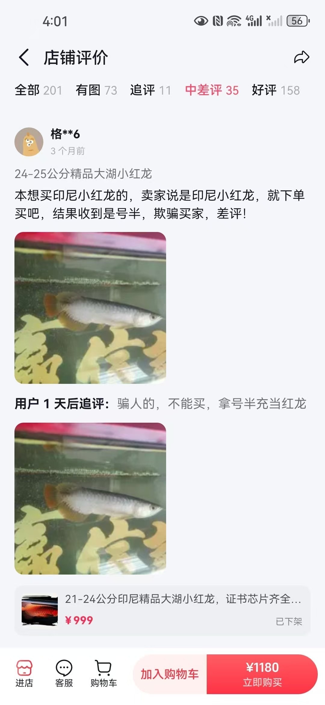 直播間購買觀賞魚被騙，老謝龍魚就是騙子