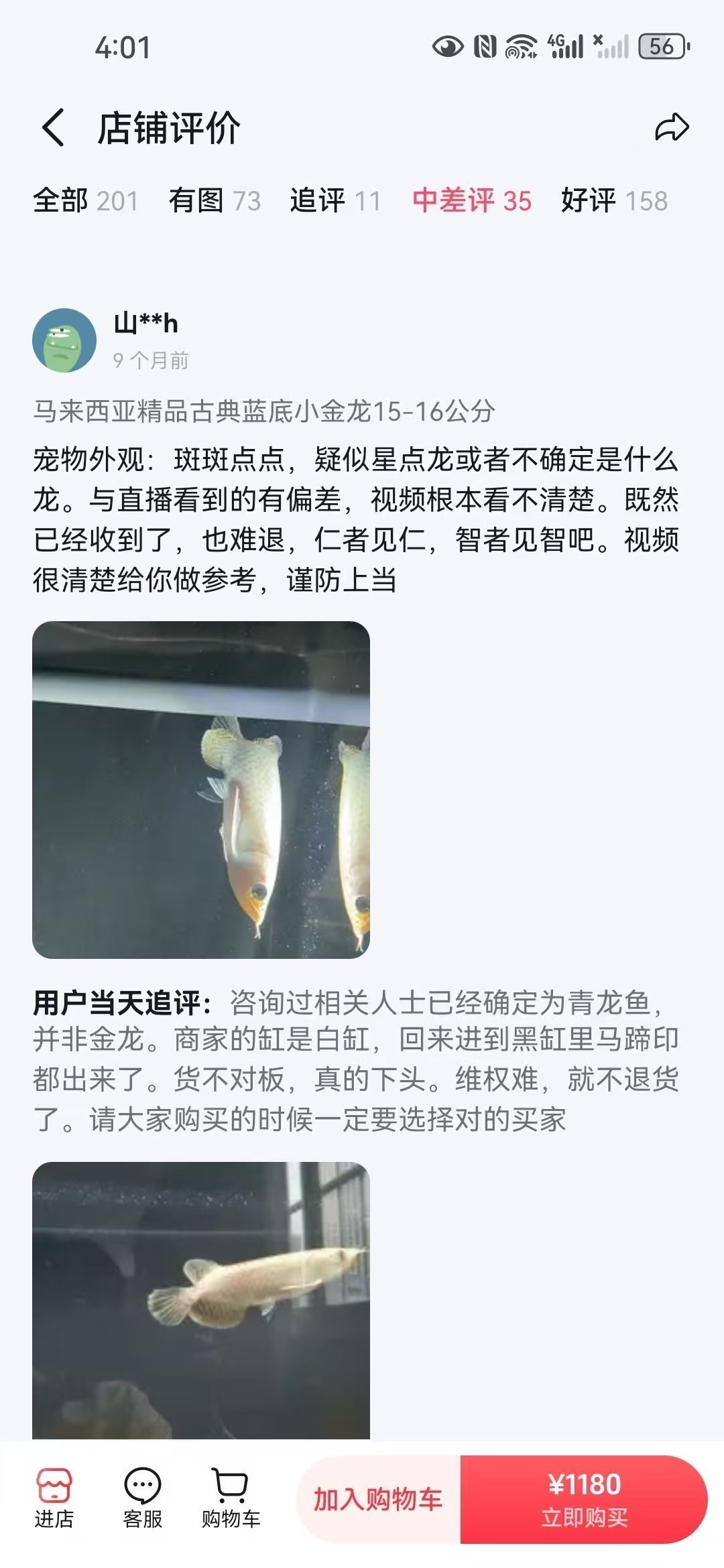 直播間購買觀賞魚被騙，老謝龍魚就是騙子