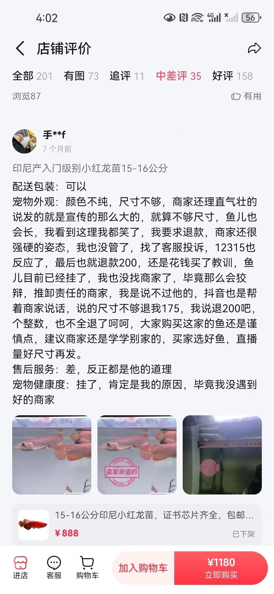 直播間購買觀賞魚被騙，老謝龍魚就是騙子