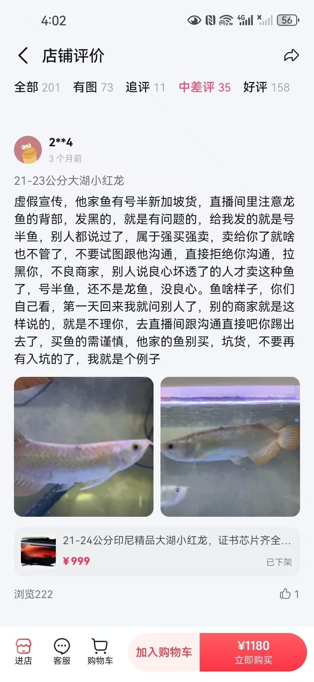 直播間購買觀賞魚被騙，老謝龍魚就是騙子