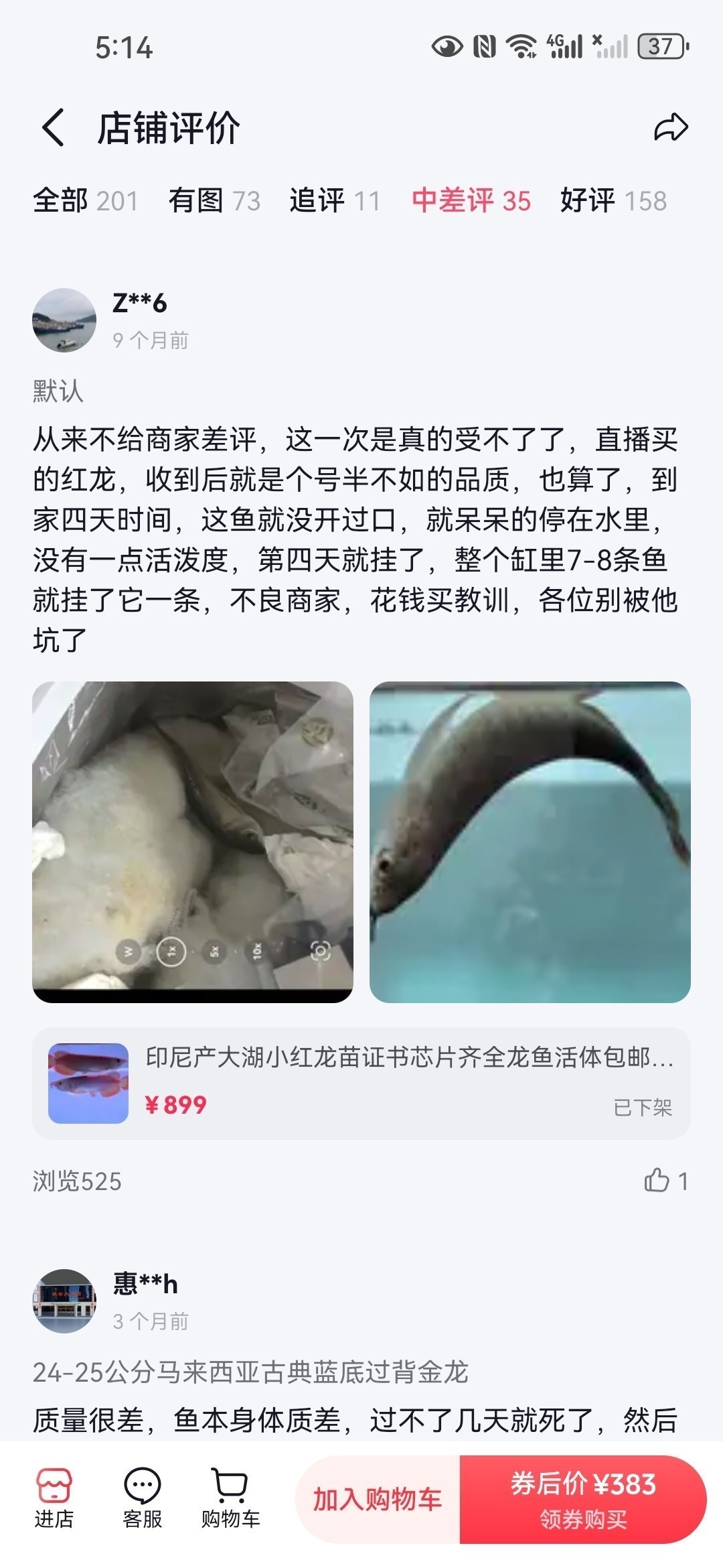 直播間購買觀賞魚被騙，老謝龍魚就是騙子