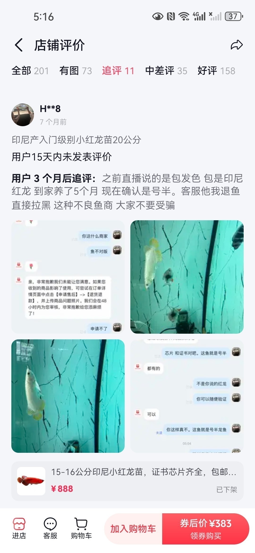 直播間購買觀賞魚被騙，老謝龍魚就是騙子