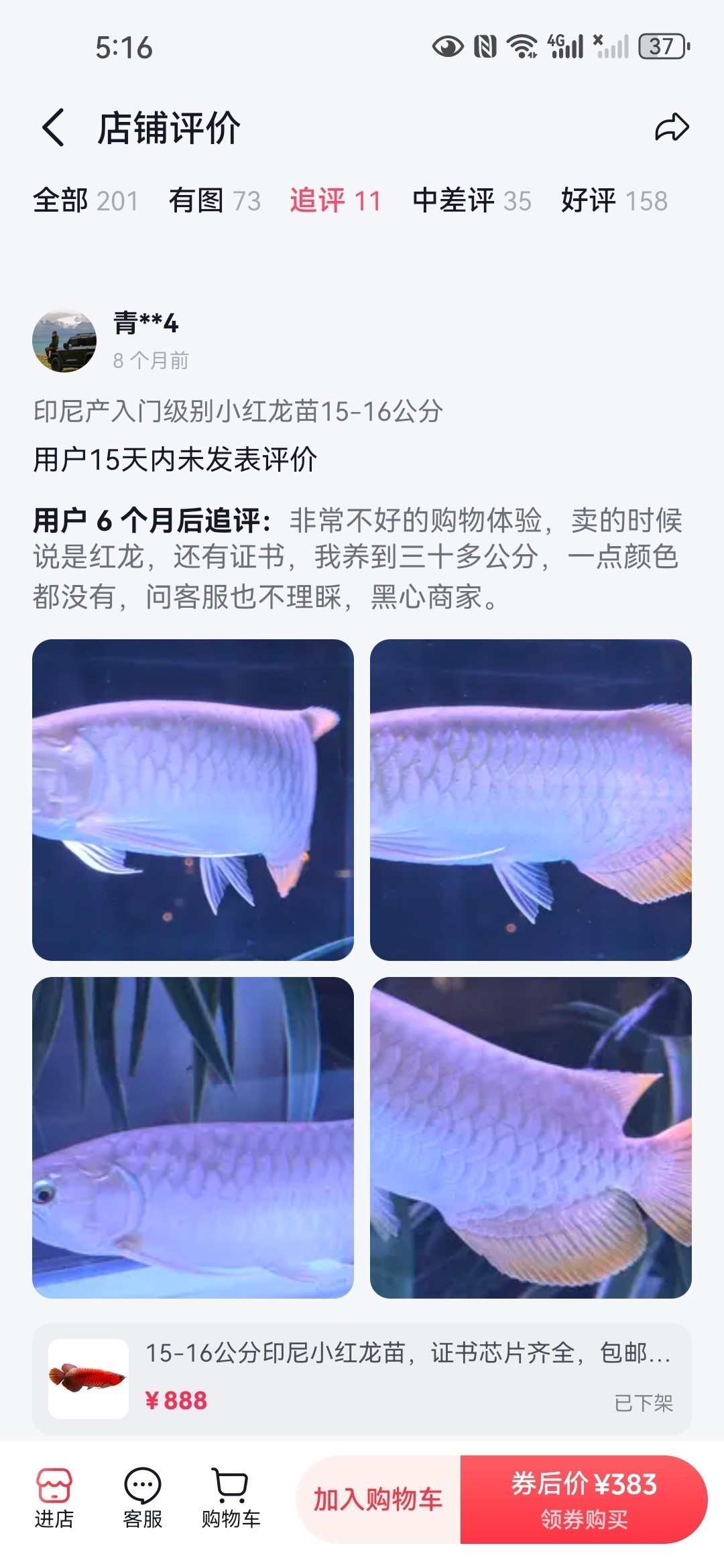 直播間購買觀賞魚被騙，老謝龍魚就是騙子
