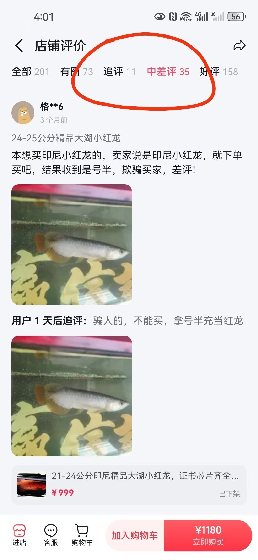 長樂龍魚的市場價格如何（長樂龍魚有哪些品種給我一些長樂龍魚的養(yǎng)殖技術(shù)）