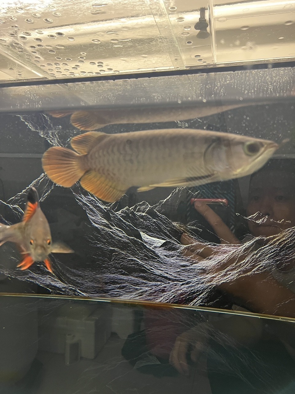 大神們幫我看看是不是號半？