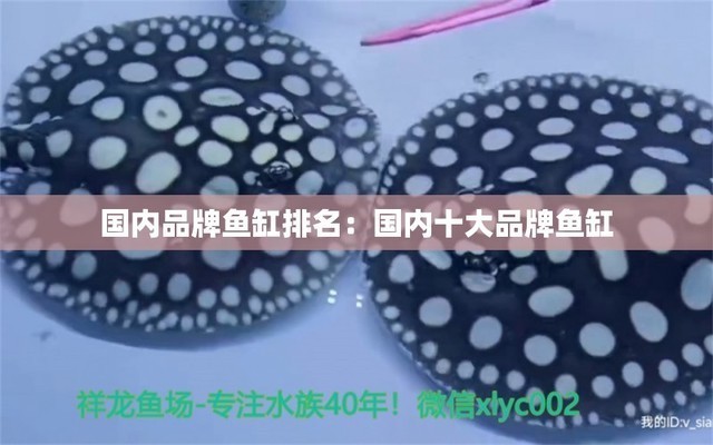 阜寧縣熠辰水族館（阜寧縣熠辰水族館電話）