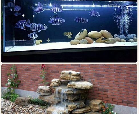 魚缸價錢圖片大全（不同材質魚缸價格對比魚缸配件選購全攻略）