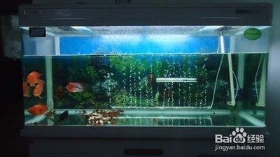 鄭州市管城區深深水族館（鄭州市管城區深深水族館電話）