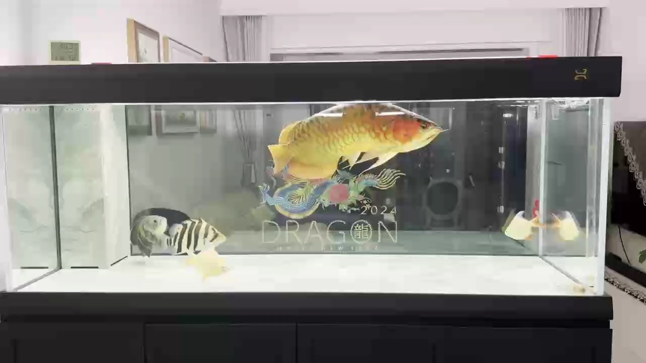6歲留念