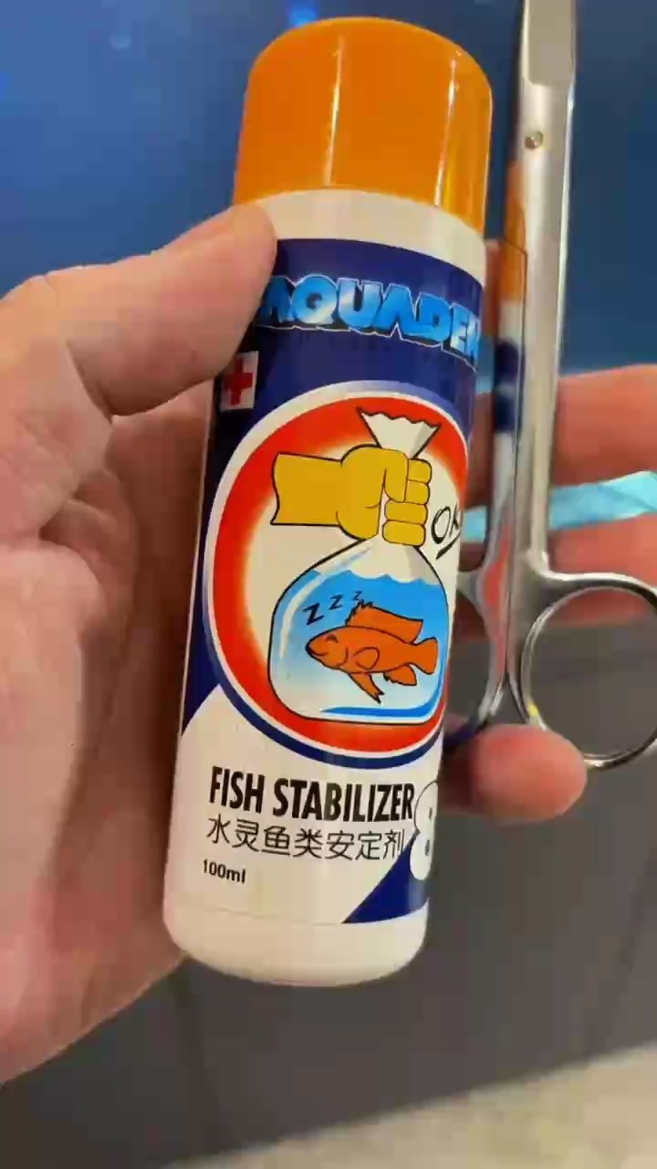 龍魚翻腮手術