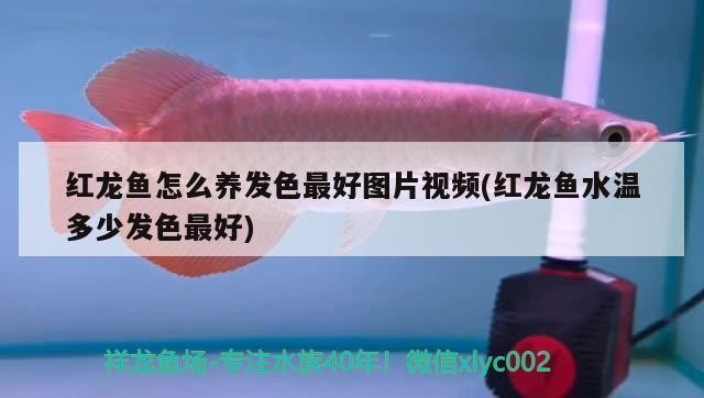 大同市云岡區老馬水族館（大同老馬火鍋）